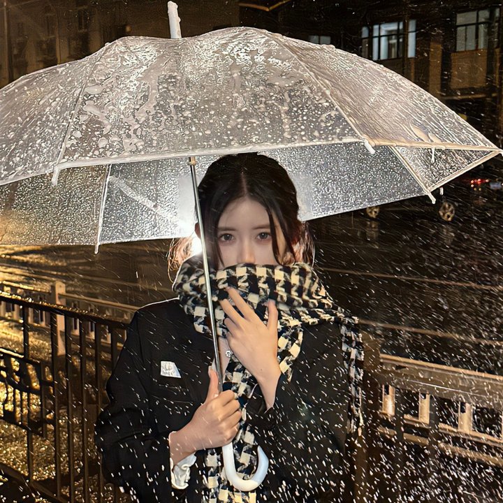 挎斗摩托车里的狗
